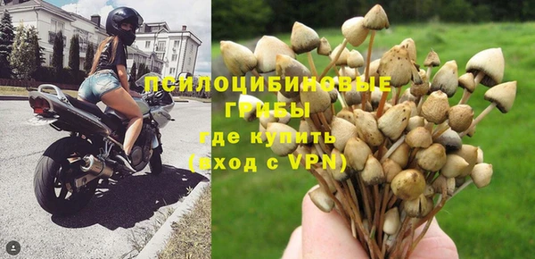 стафф Алексеевка